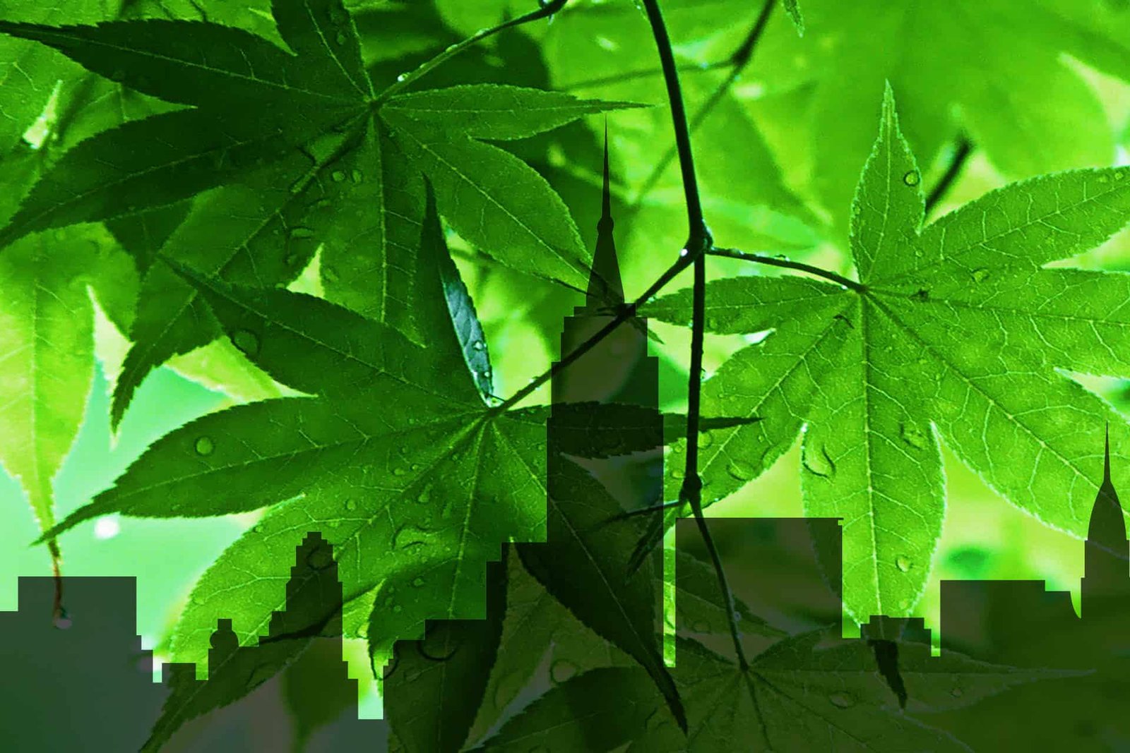 green building products 